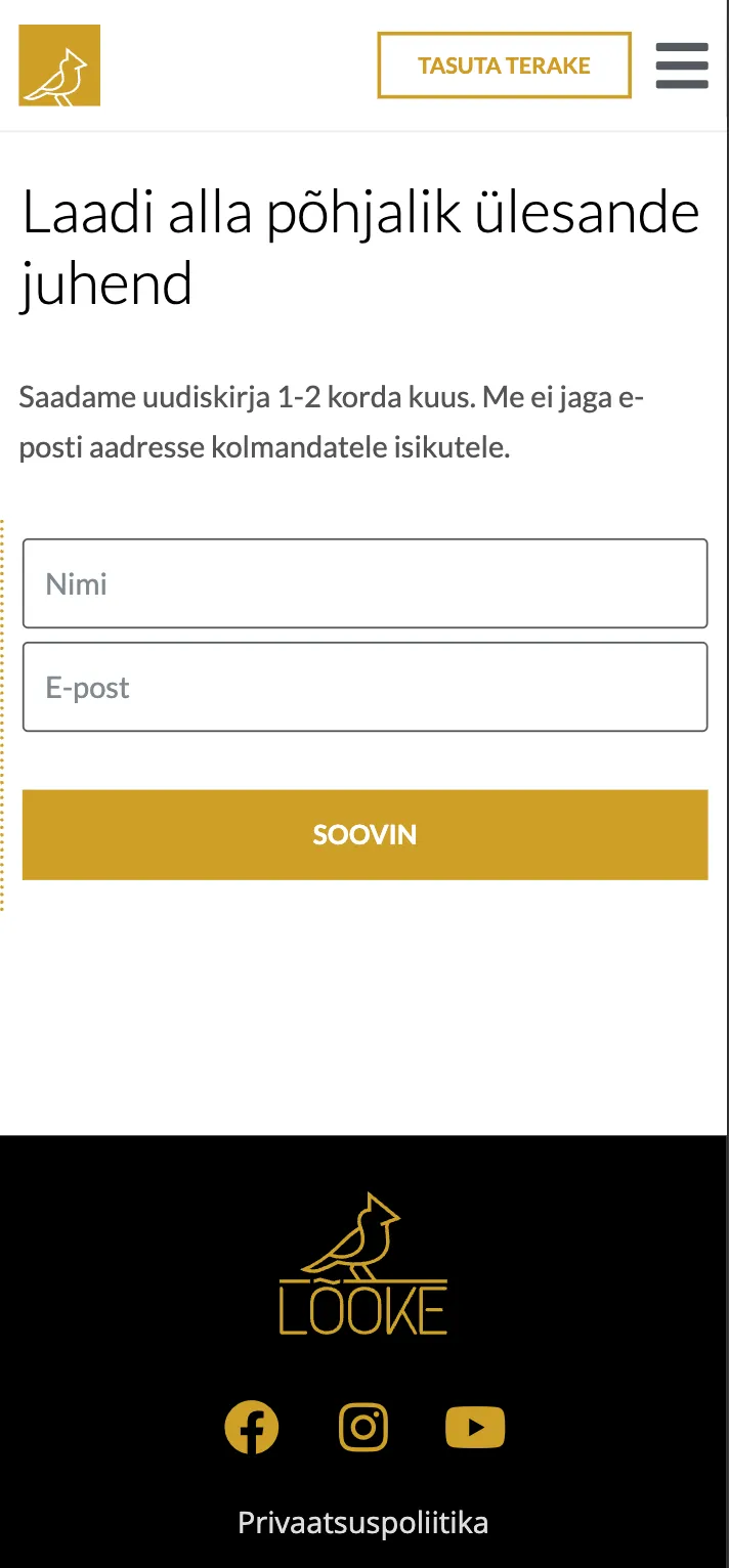 The l6oke.ee mailing-list form on a phone, with name and e-mail fields above the site footer.